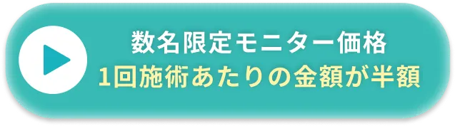 数名限定モニター価格