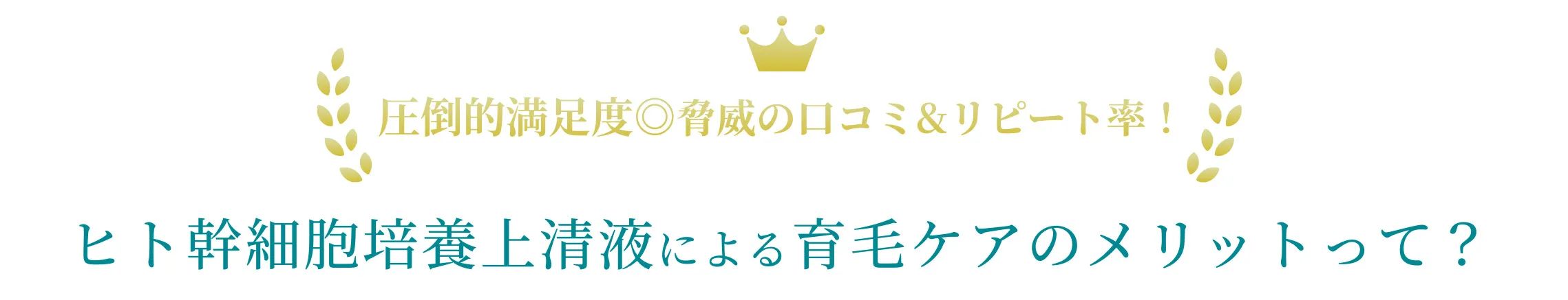 圧倒的満足度◎脅威の口コミ&リピート率！ヒト幹細胞培養上清液による育毛ケアのメリットって？