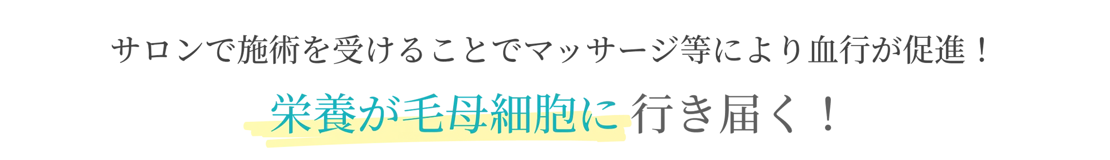 サロンで施術を受けることでマッサージ等により血行が促進！栄養が毛母細胞に行き届く！