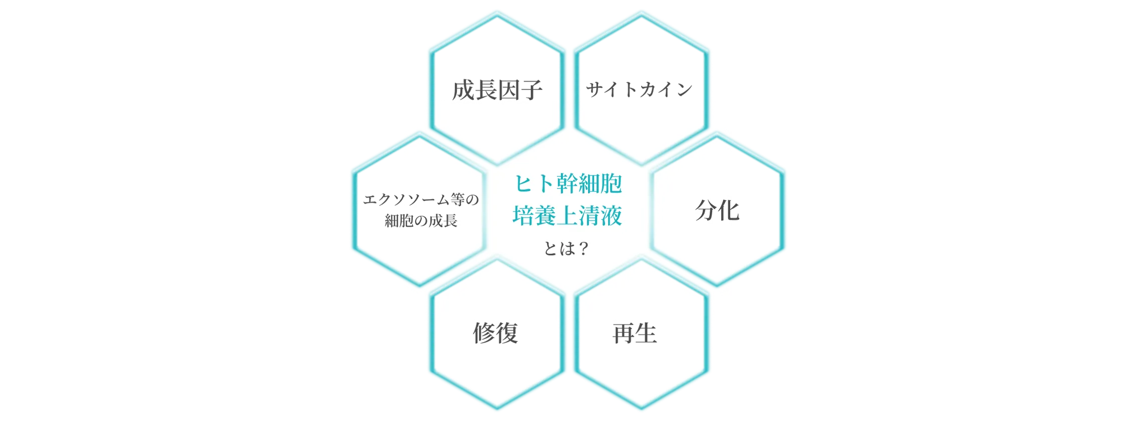 ヒト幹細胞培養上清液とは？