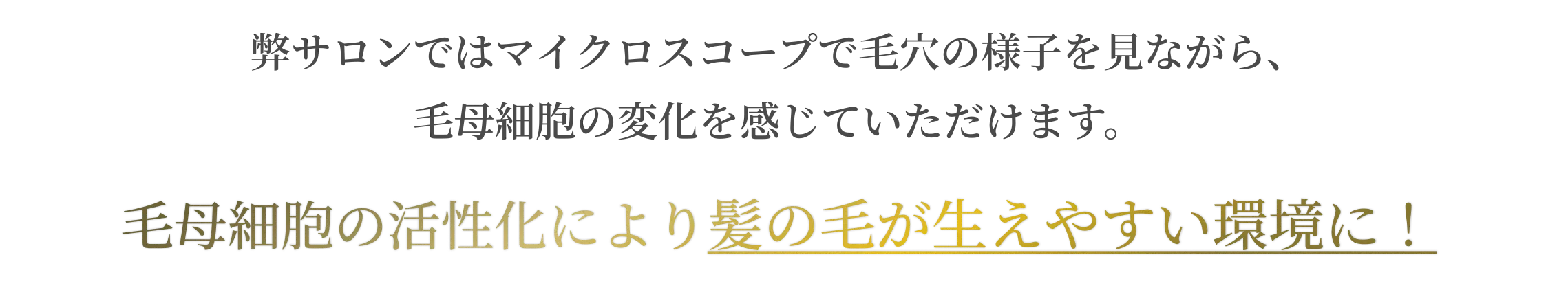 弊サロンではマイクロスコープで毛穴の様子を見ながら、毛母細胞の変化を感じていただけます。毛母細胞の活性化により髪の毛が生えやすい環境に！