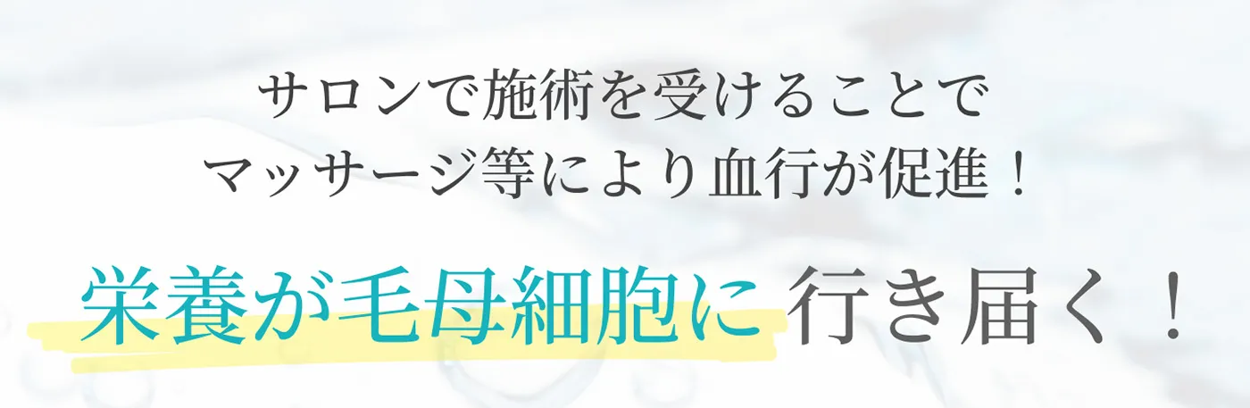 サロンで施術を受けることでマッサージ等により血行が促進！栄養が毛母細胞に行き届く！