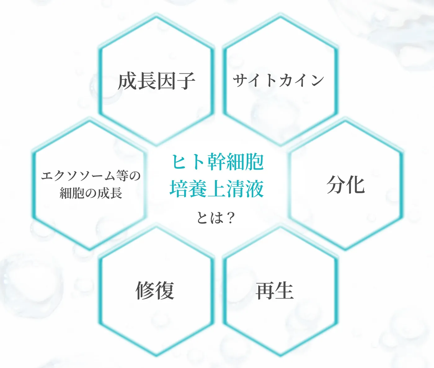 ヒト幹細胞培養上清液とは？